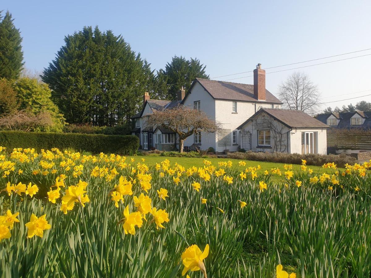 Lower House B&B Adforton Leintwardine Exterior photo